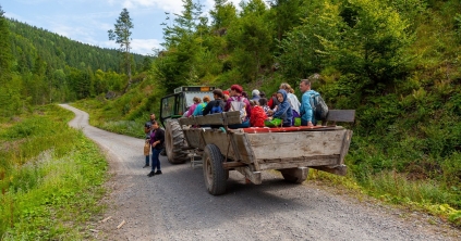 Gyógynövényismereti túra