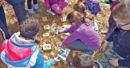 Közösséget építenek erdőt szerető oktatókból