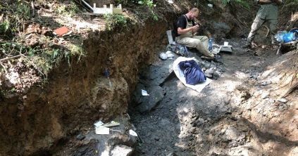Növényevő dinoszaurusz csontvázára bukkantak Erdélyben