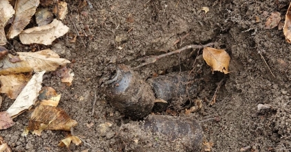 Fel nem robbant gránátokat találtak Tusnádfürdő környékén