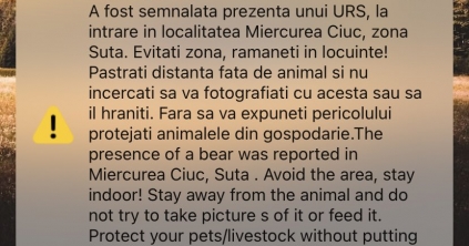 A Suta-tó környékén járkáló medvére figyelmeztet a Ro-Alert