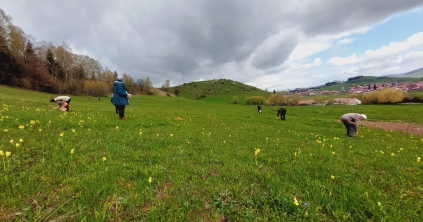 Zöld Séta a Providentia Idősek Központjával