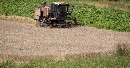 Termésbecslés: jó, hogy nem rosszabb