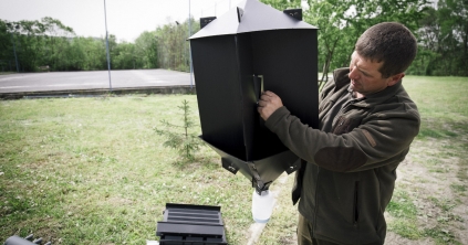 Hogy lehet kordában tartani a fákat pusztító rovarokat?