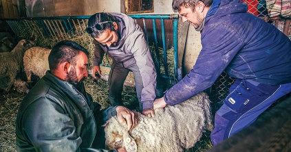 Felkészült-e Románia a járványok korára?