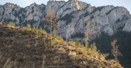 13 millió lejes beruházás a Nagy-Hagymásban