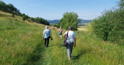Zöld séta a Providentia Idősek Központjával