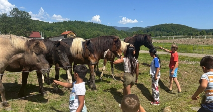 A MOL Gyermekgyógyító? Kik a FEHÉRLÓFIAI? És mit jelent a komplex lovas terápia?