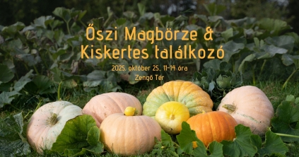 Őszi magbörze