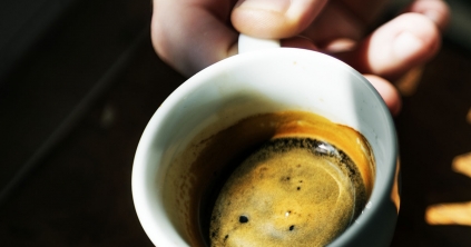 A trópusok feketelevese