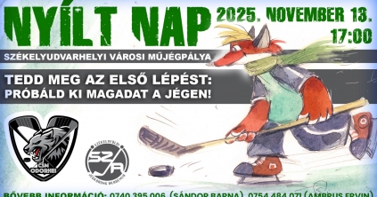 Nyílt nap a városi jégpályán