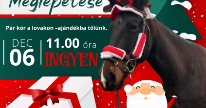 Mikulás-meglepetés a Gyémántpatkó Lovardában