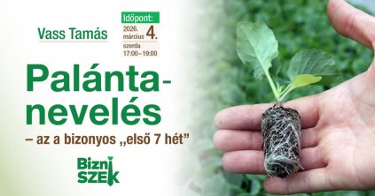 BizniSZEK kertészklub: Palántanevelés