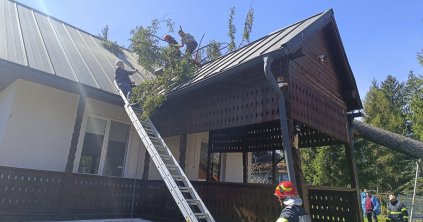 Fa dőlt egy lakóházra