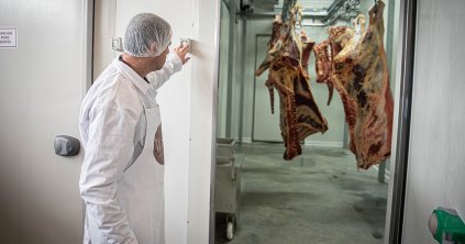 A szarvasmarha-ágazatban volt csak visszaesés