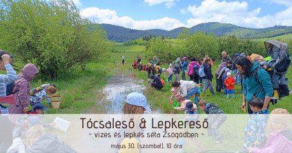 Tócsaleső kirándulás Zsögödben