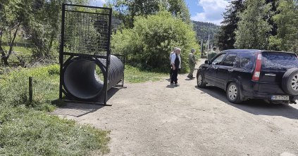 Befognák a négyeshez visszajáró medvét