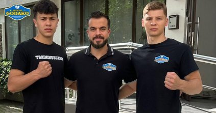Szakmai elismerés