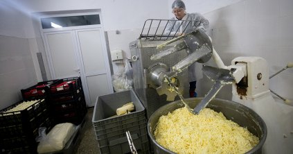 Tejfeldolgozásban kiemelt helyen