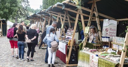 Önálló ágazat a gyógynövénytermesztés