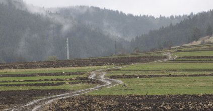 Nem talált szabálytalanságot az APIA