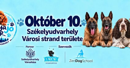 Kutyajó Nap Székelyudvarhelyen