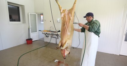 Több sertést és szárnyast,  kevesebb marhát és juhot vágtak