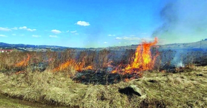 Kétszázötven Hargita megyei gazda veszítette el a mezőgazdasági támogatást avarégetés miatt