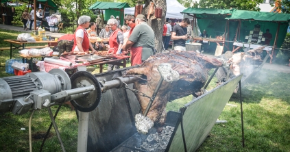 Kevés a piknikezőhely