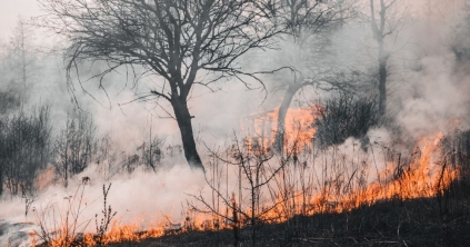 Tarlótűzhöz riasztották a tűzoltókat, Galócás mellett égett az aljnövényzet