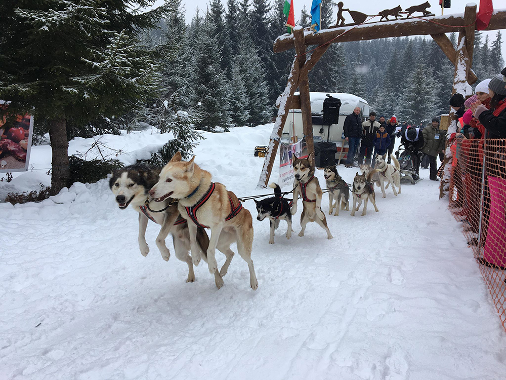 Délhegy-kupáért hajtottak