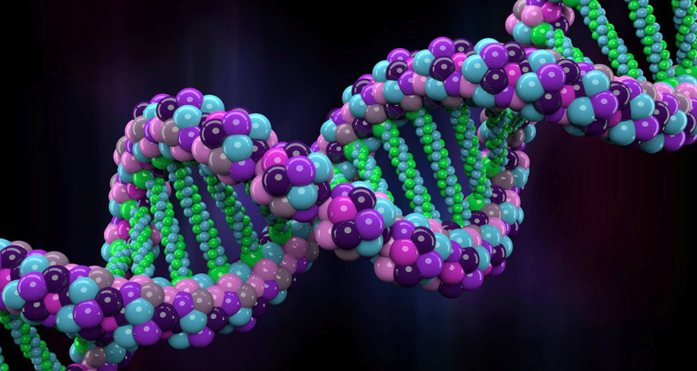 A nedvek és az öröklődés