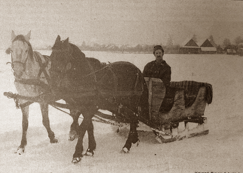 Visszatekintő (január 22.)