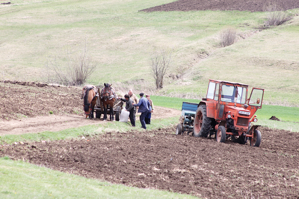 Hektáronként 68 lej pluszpénzt fizetnek a szántókra