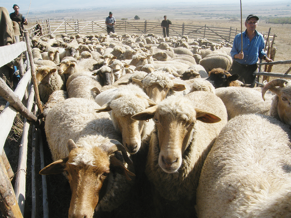 Ma még igényelhető