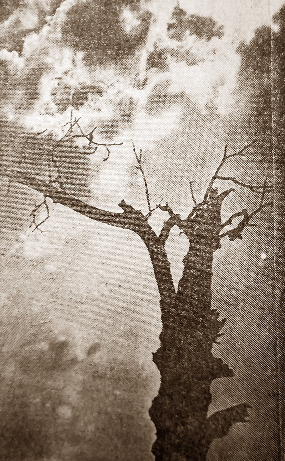 Visszatekintő (március 22.)