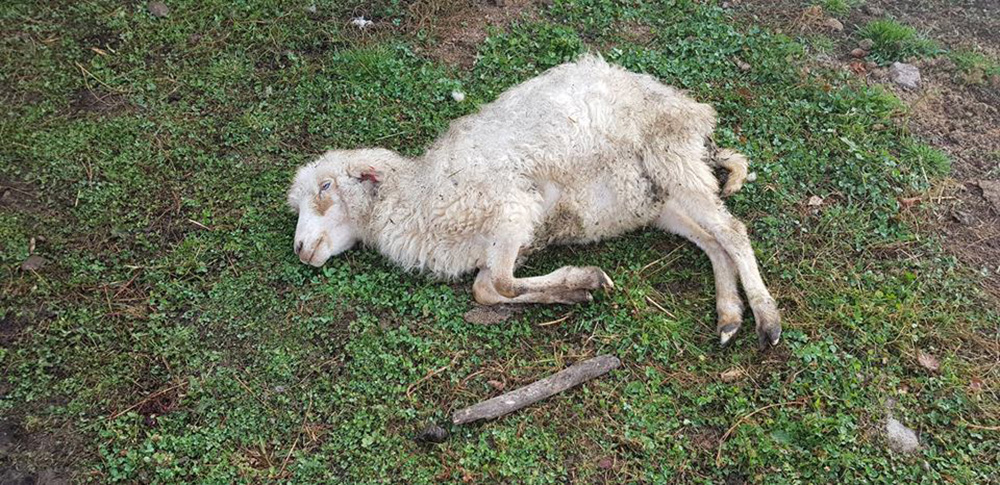 Hasznos, de még elbukhat