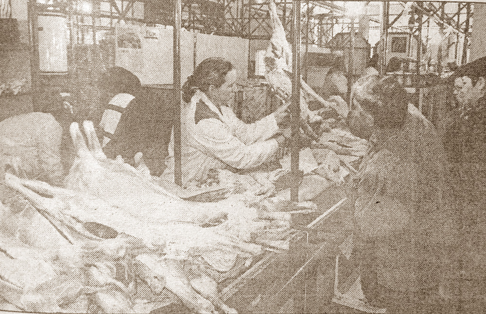 Visszatekintő (április 8.)