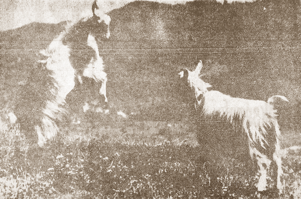 Visszatekintő (május 10.)