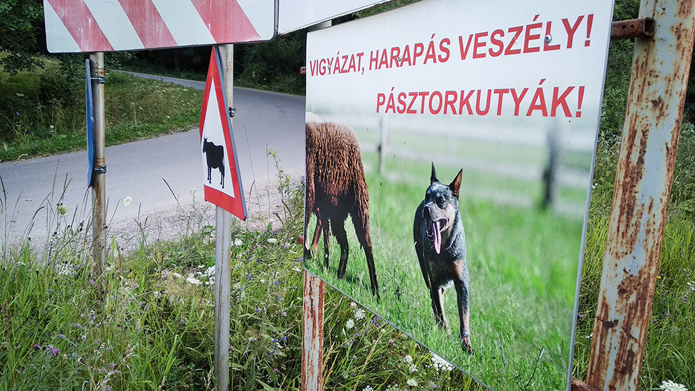 Sokat kell még pedálozni