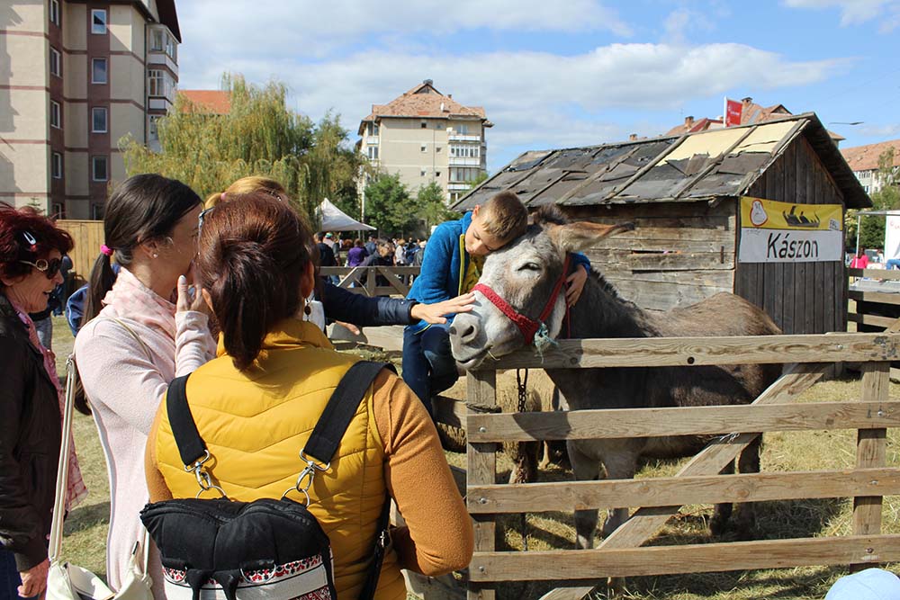 Nálunk már otthon van a falu a városban