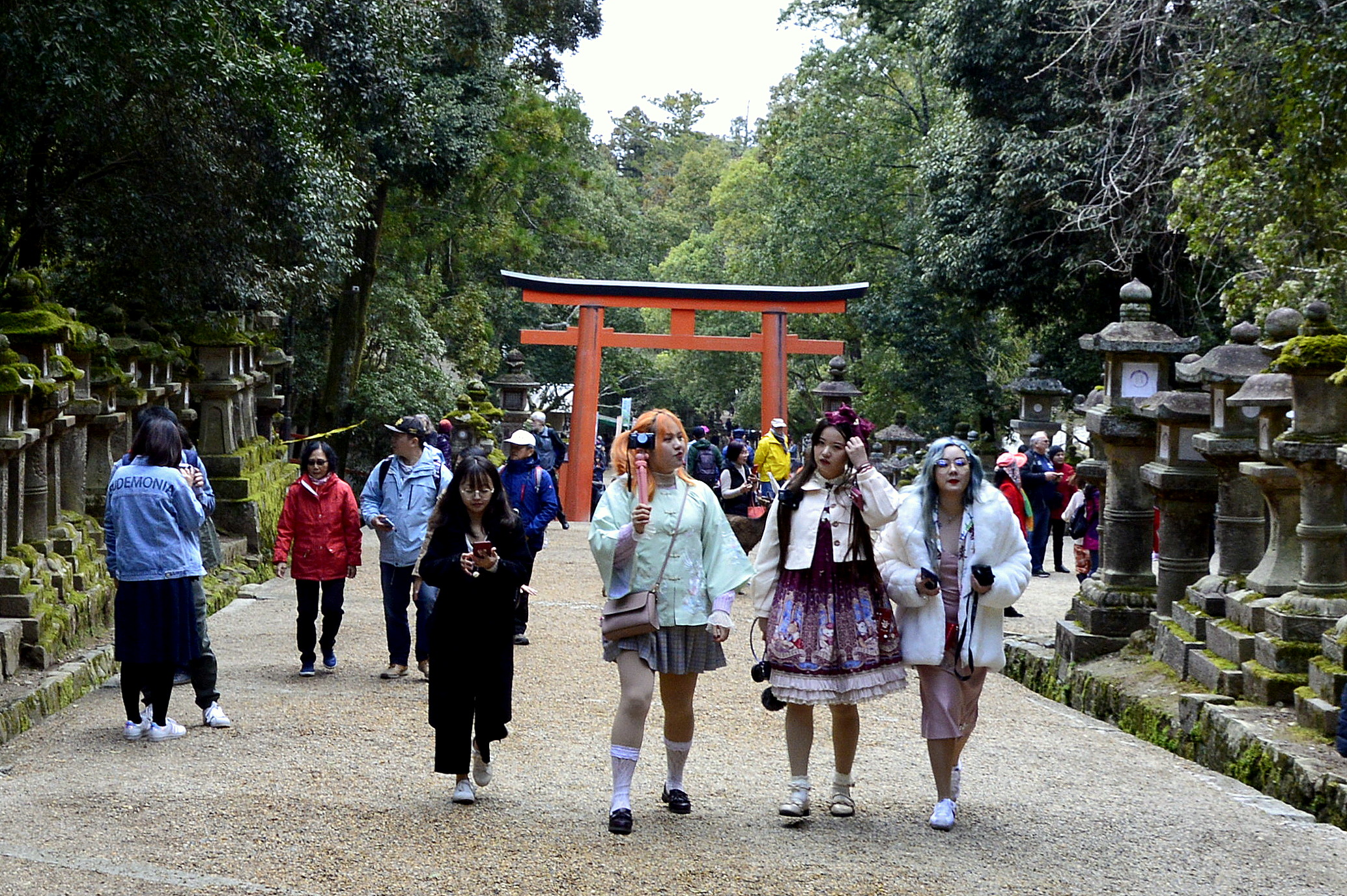 Tisztaság, kuka nélkül