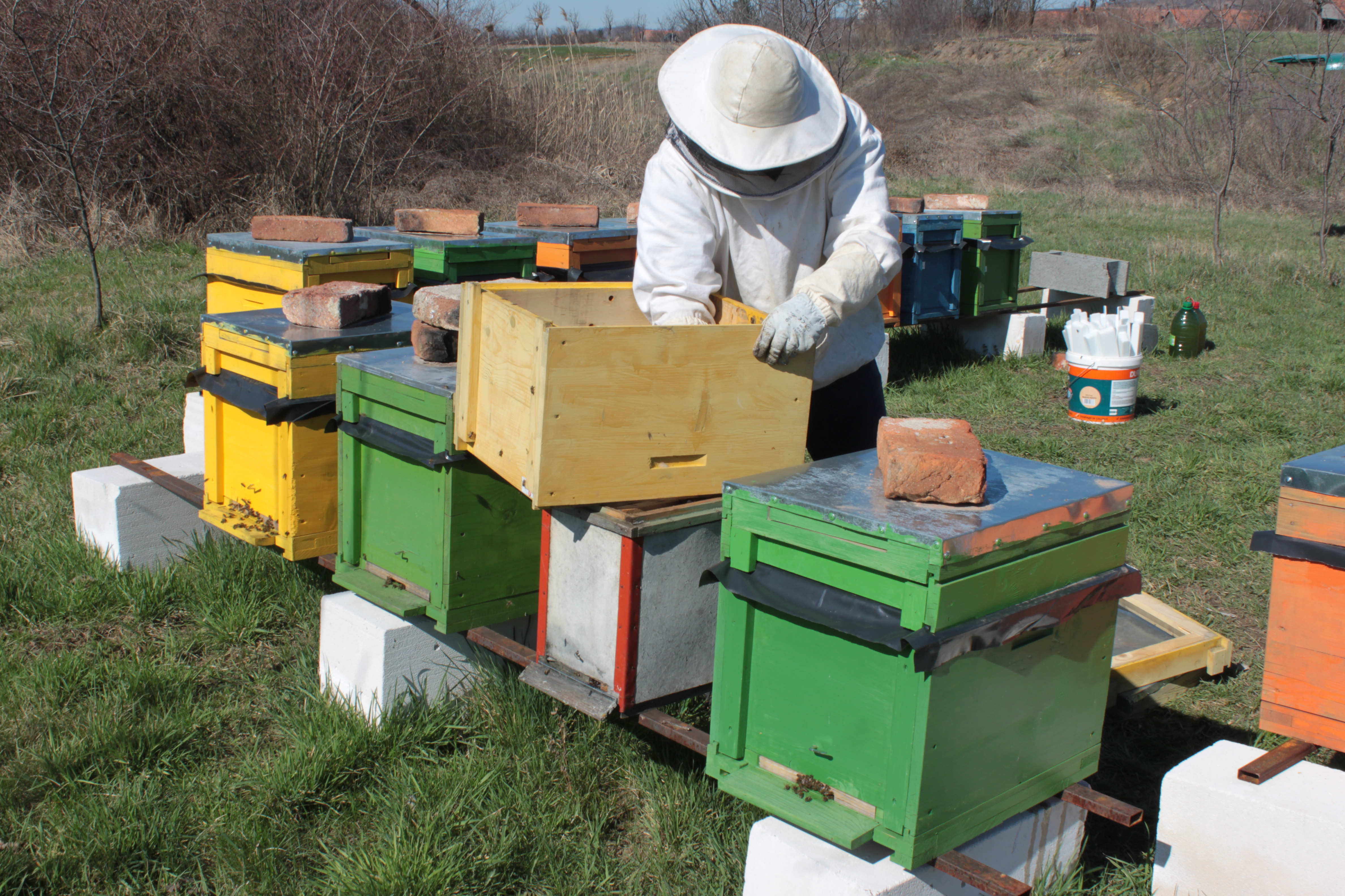 Telelési tapasztalataikról számoltak be a méhészek: Nem észlelnek nagy veszteségeket