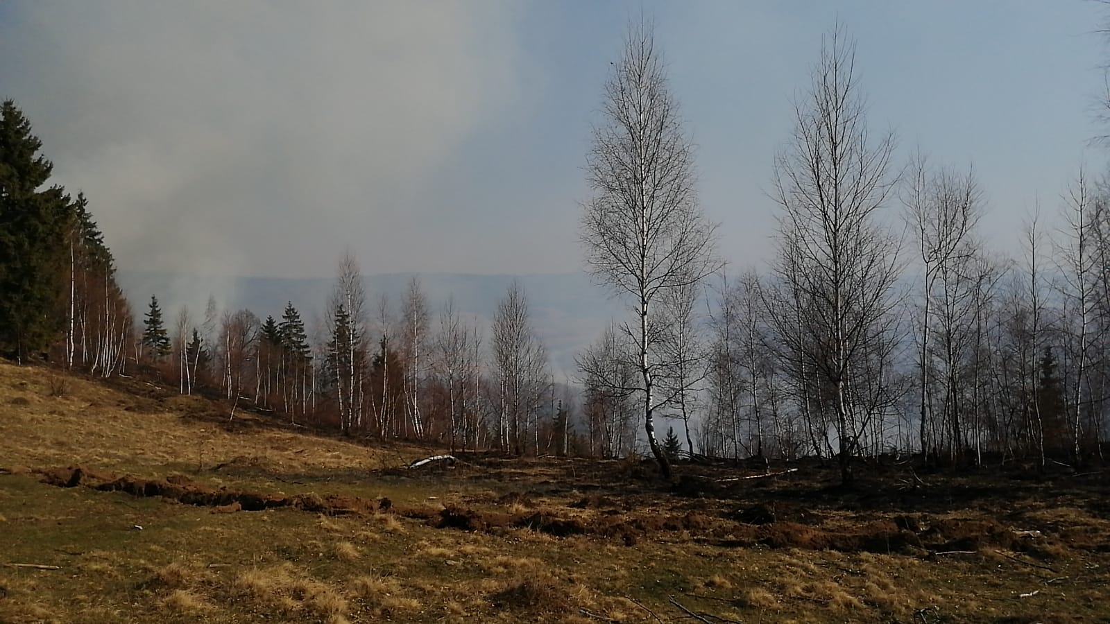 Erdőtűz Csinódon: Ötven hektáron égnek a cserjék és az aljnövényzet