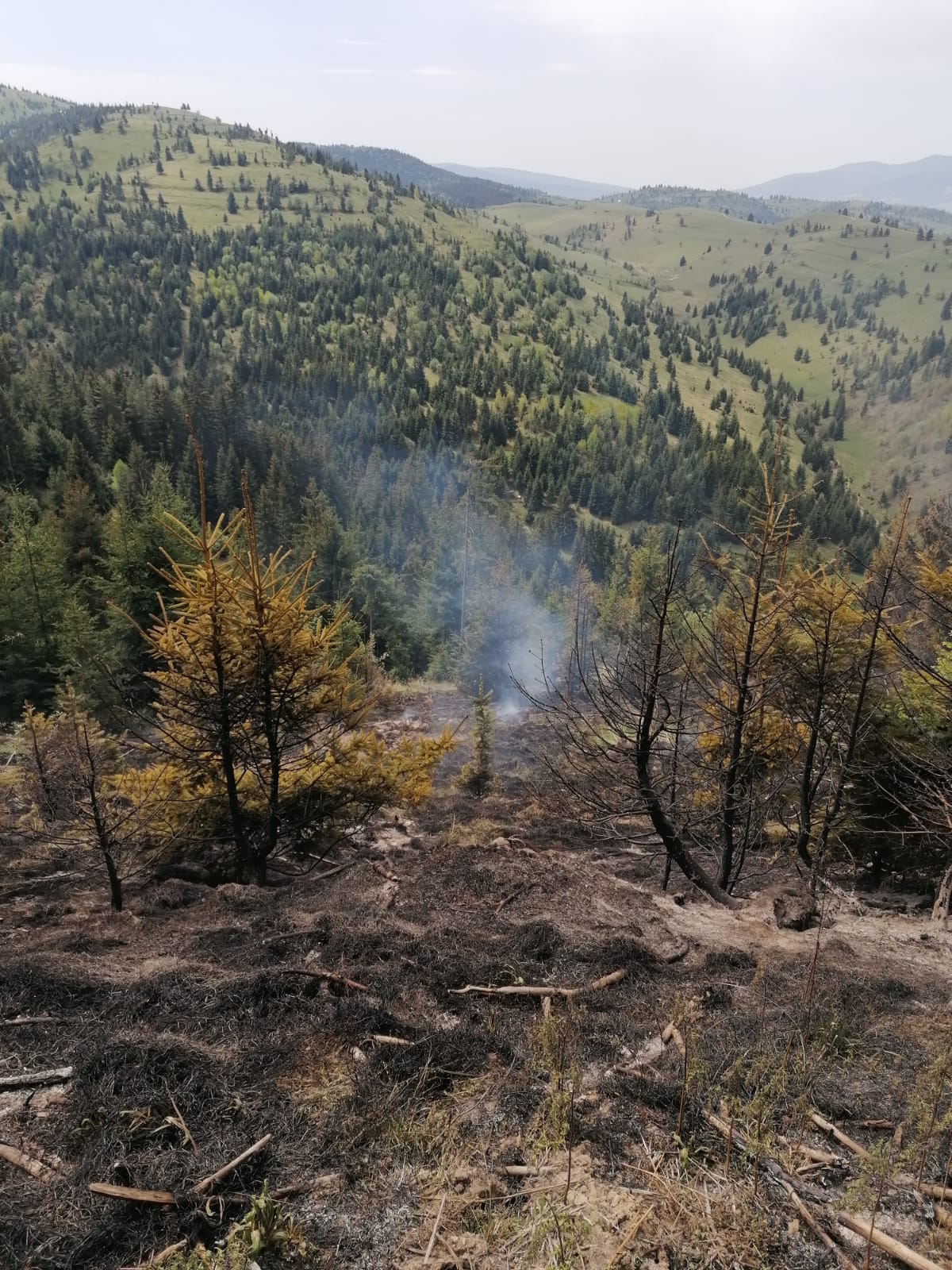 Eloltották a gyergyószentmiklósi erdőtűzet