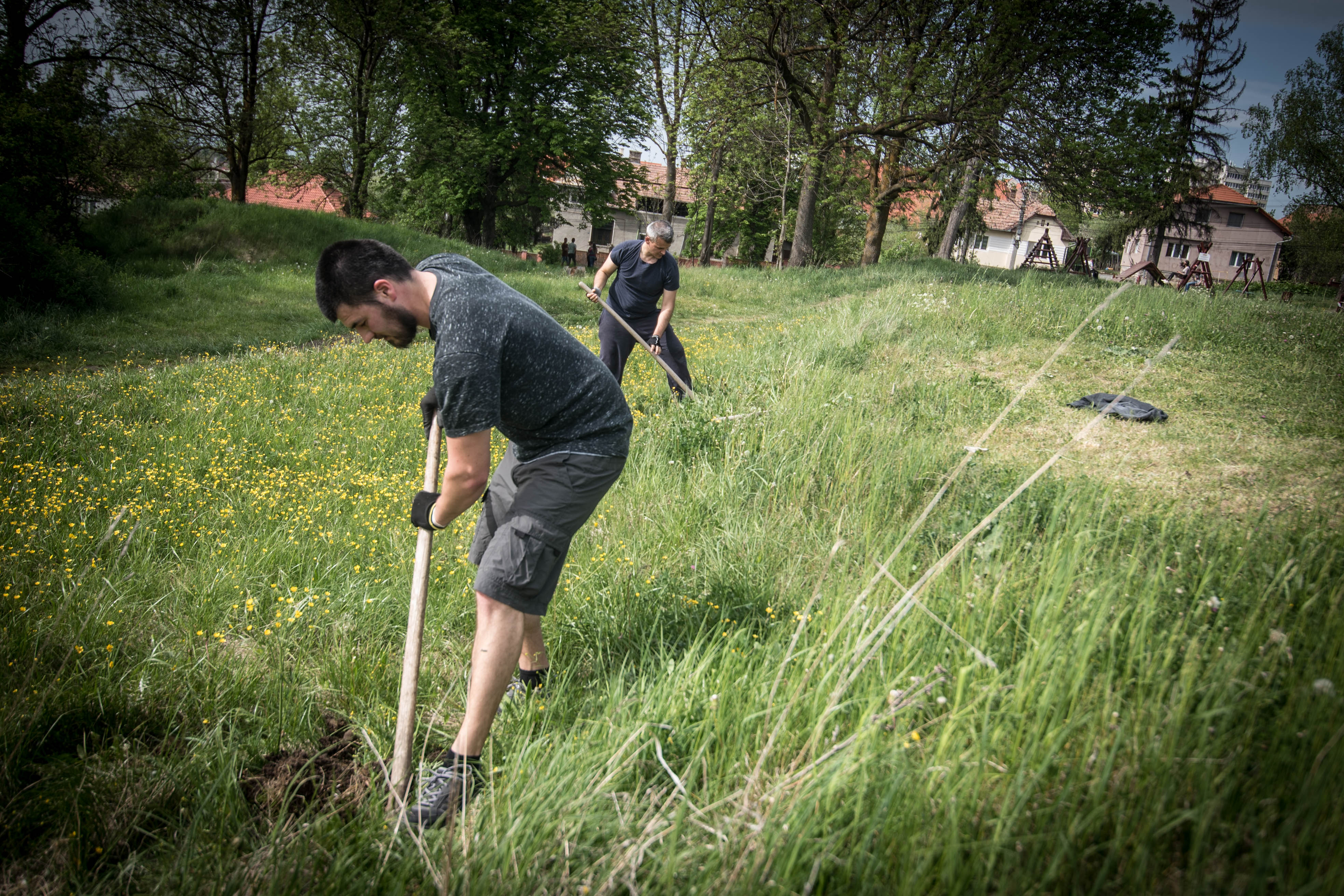 Faültetés a parkban