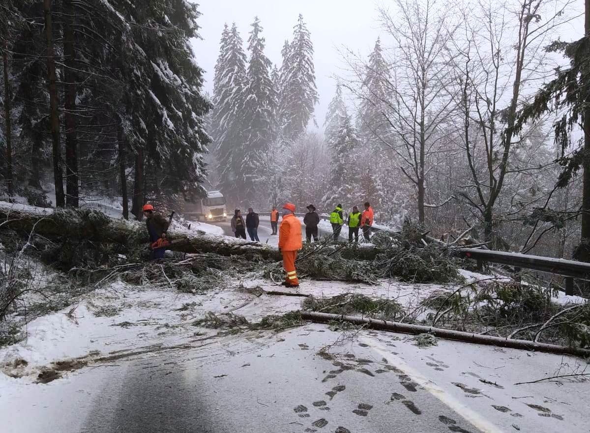 Visszatért a tél: fák dőltek az országútra Tusnádfürdőn