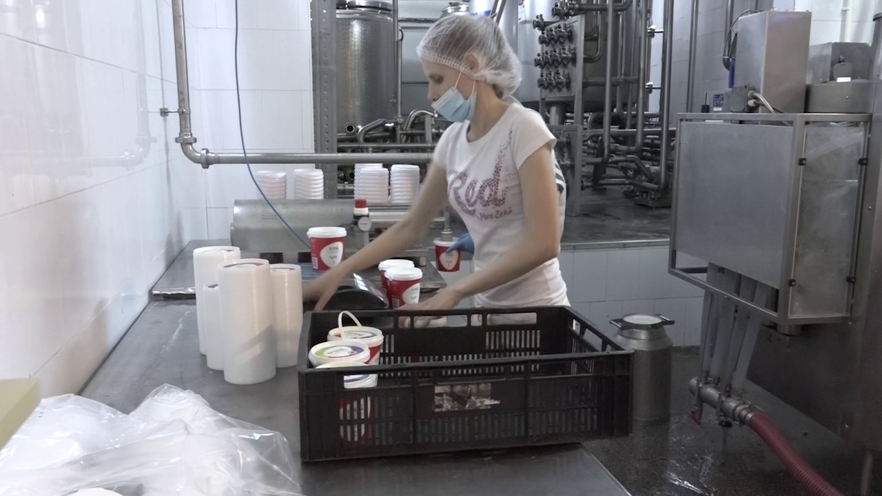 Videó - 10 éves a székelykeresztúri tejfeldolgozó