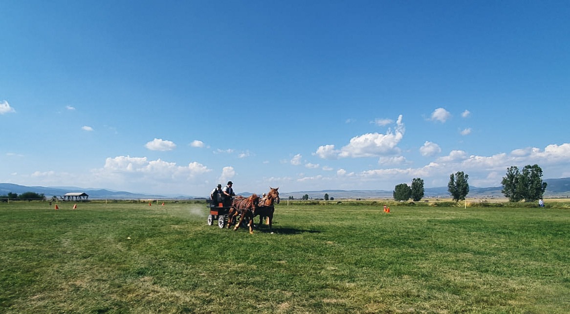 Fejlődő lovasélet Hargita megyében