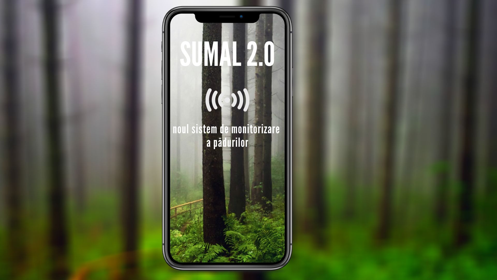 Tánczos: a SUMAL 2.0 az egyik legjobb faanyag-nyomonkövető rendszer